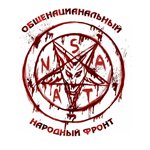 Разработан предварительный герб Общенационального народного фронта Путина